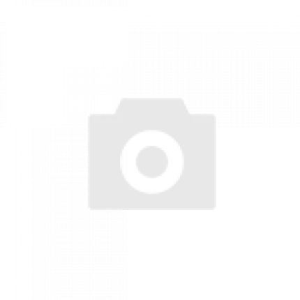 Платоническая мысль и учения в философии истории: глубокий взгляд на вечные вопросы